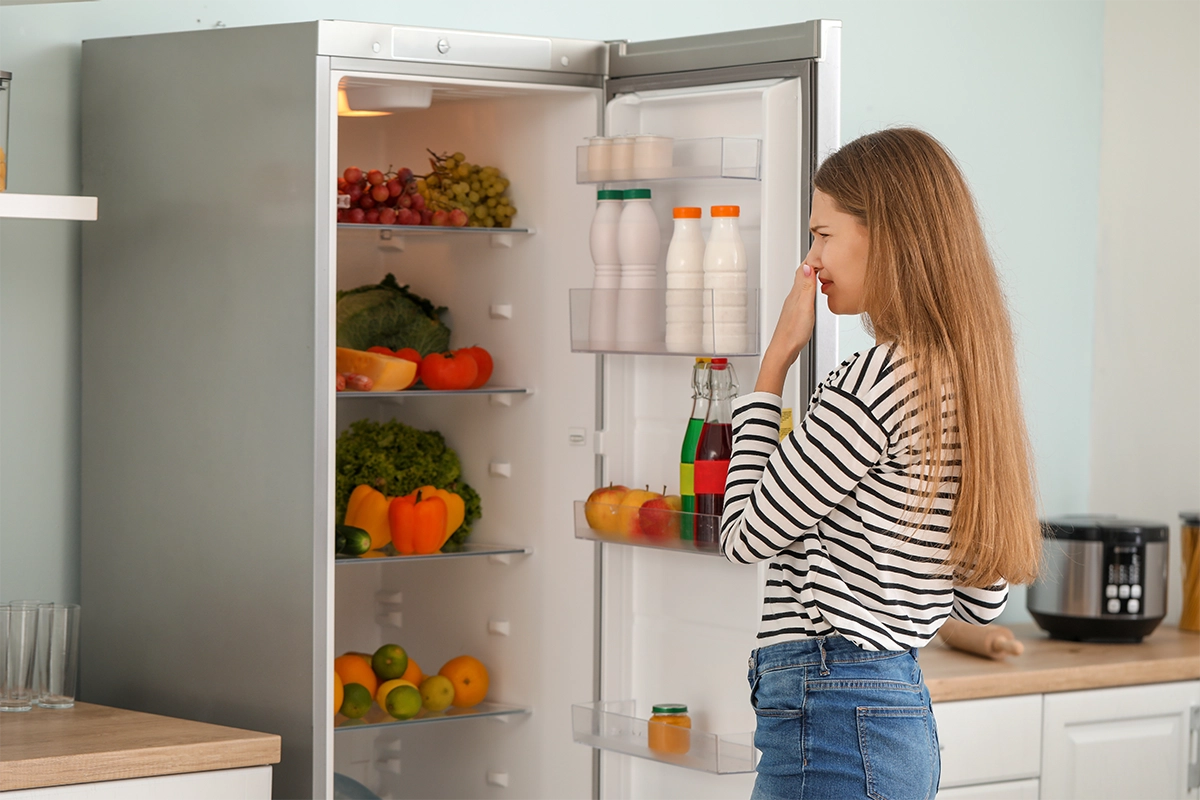 Home Appliance and Repair - how to remove odor from refrigerator