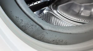 Home Appliance and Repair - why does my washing machine smell 2