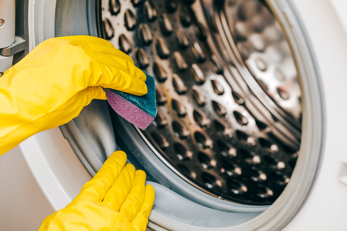 Home Appliance and Repair - why does my washing machine smell